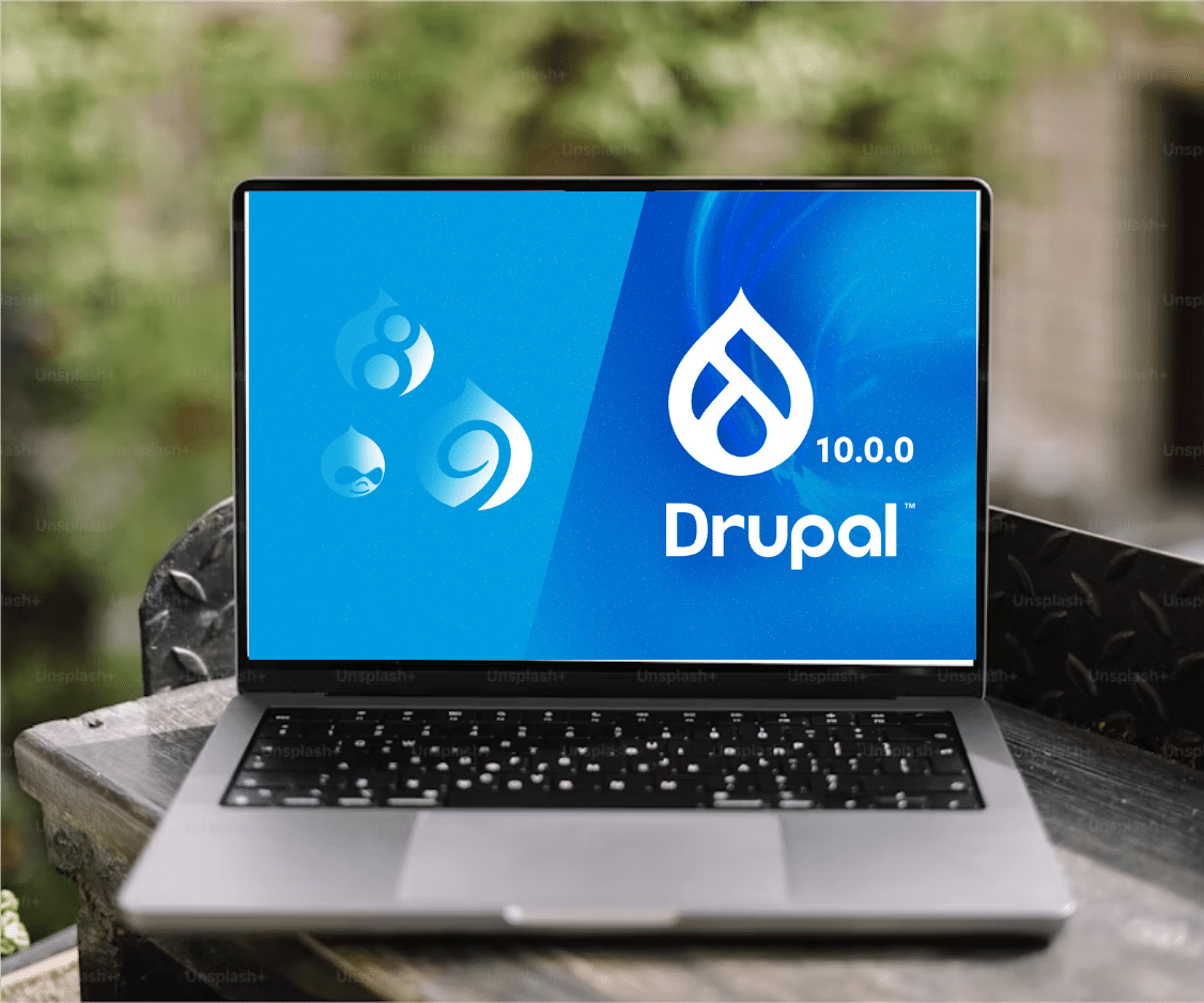 Source369 Drupal Development Services
